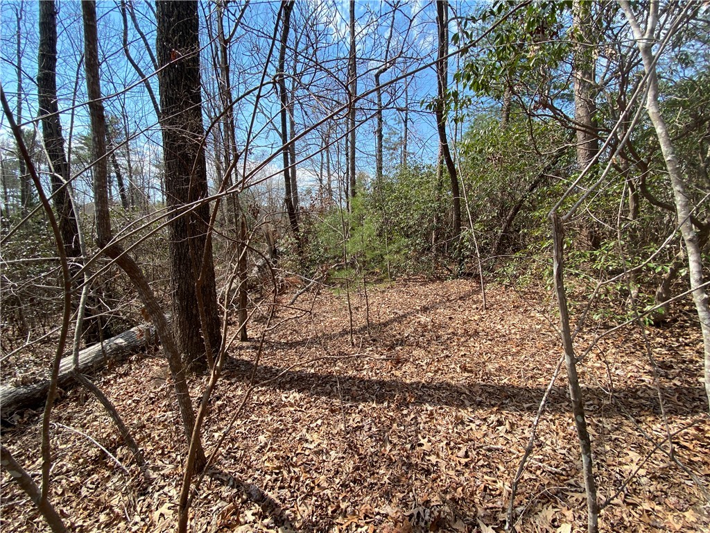 Lot 107 Fernwood Drive, Salem, South Carolina image 10