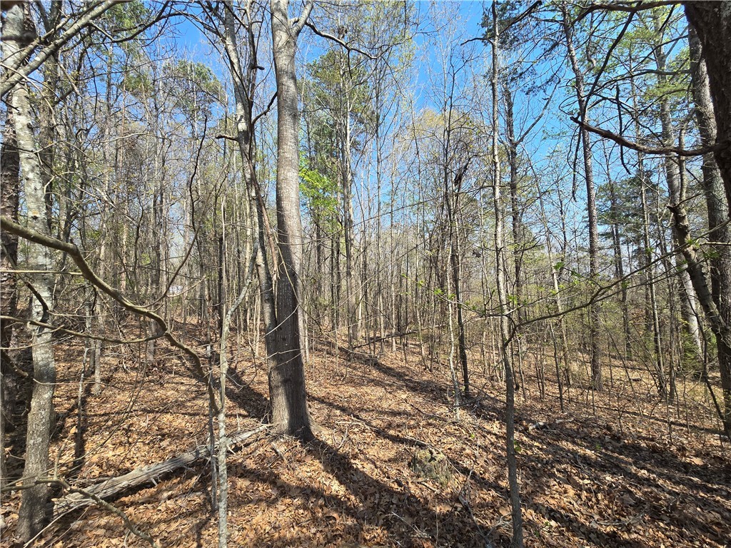 759 Durham Brown Road, Seneca, South Carolina image 8