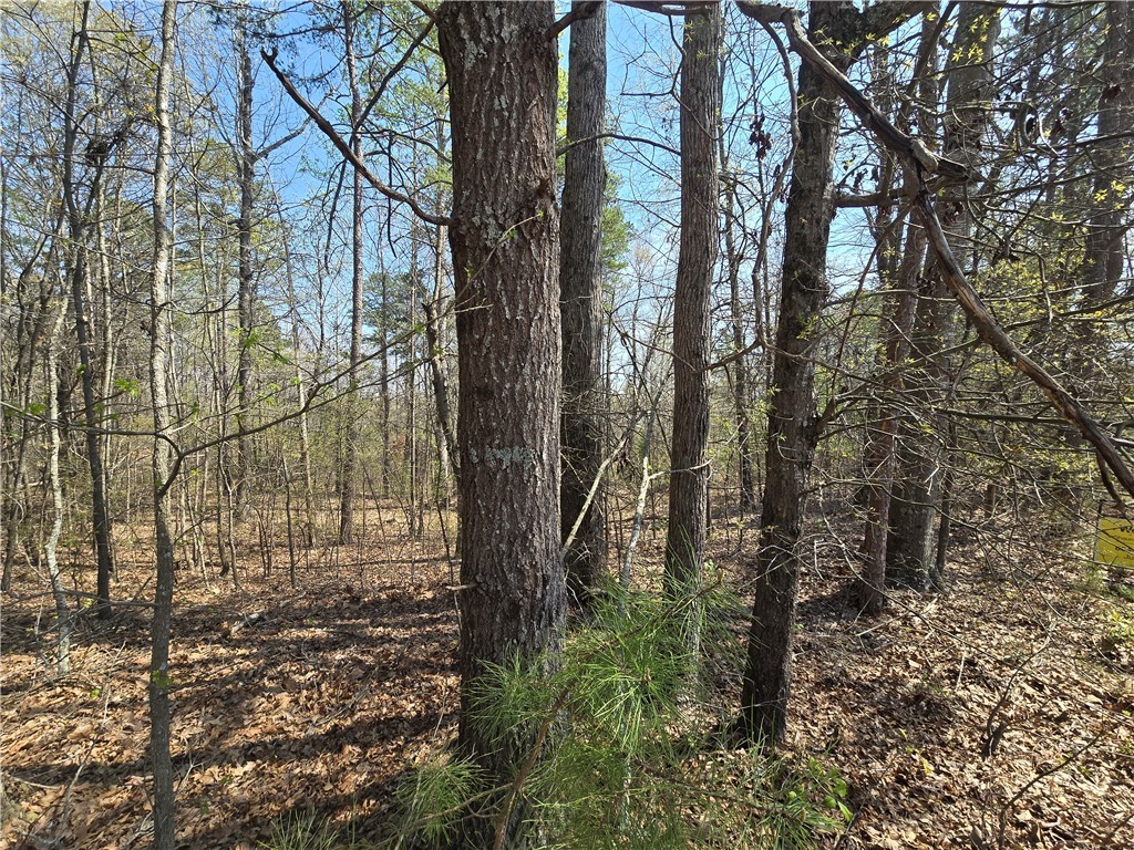 759 Durham Brown Road, Seneca, South Carolina image 7
