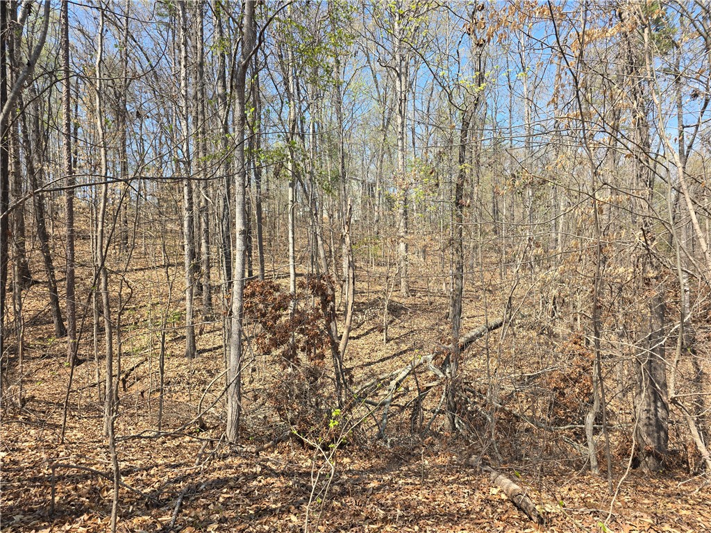 759 Durham Brown Road, Seneca, South Carolina image 2
