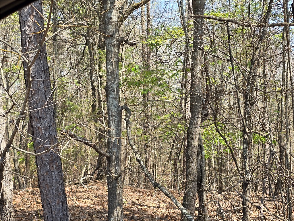759 Durham Brown Road, Seneca, South Carolina image 6
