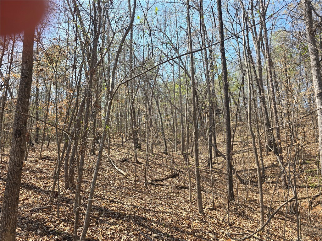 759 Durham Brown Road, Seneca, South Carolina image 5