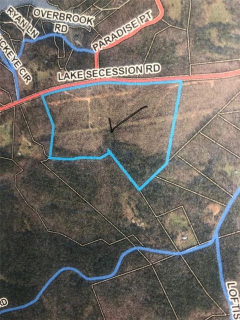 Vacant Land For Sale - 0000 Lake Secession Road<br/> Abbeville County, Abbeville, SC 29620