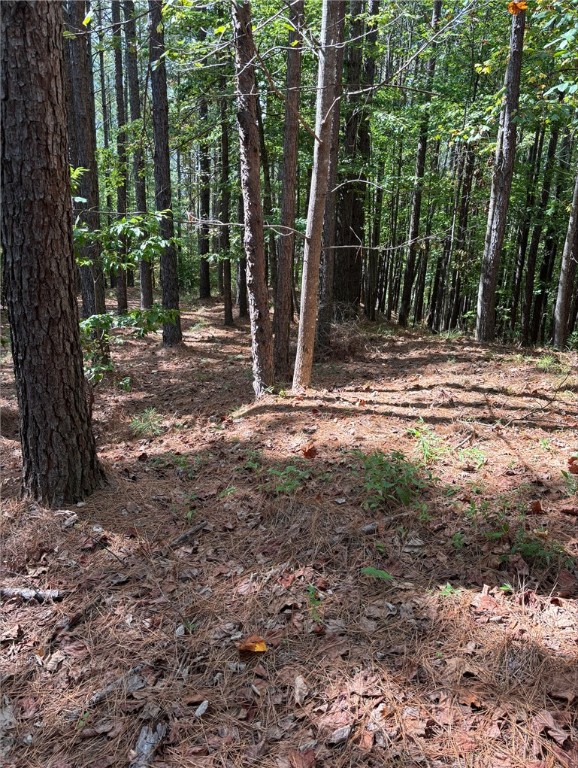 420 S Point Boulevard, Sunset, South Carolina image 3