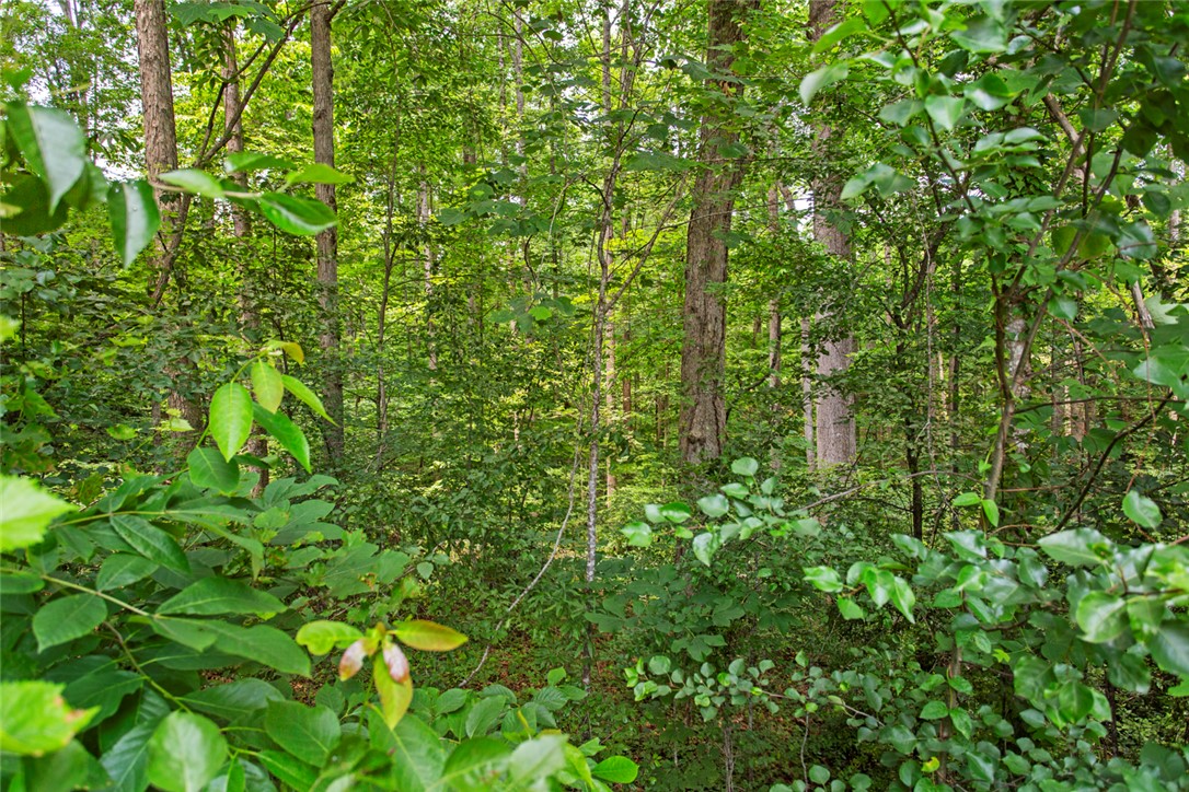 125 Brookwood Road, Seneca, South Carolina image 37