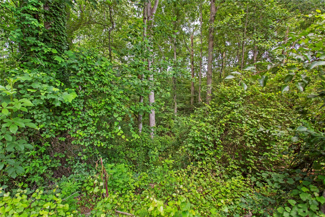 125 Brookwood Road, Seneca, South Carolina image 39