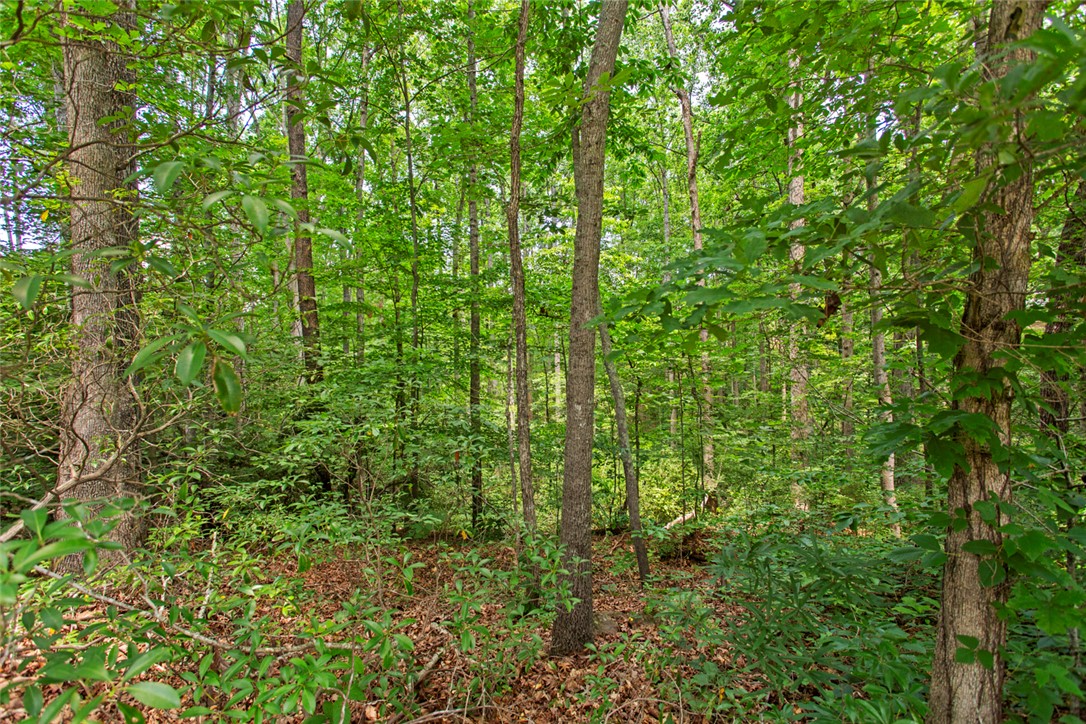 125 Brookwood Road, Seneca, South Carolina image 38