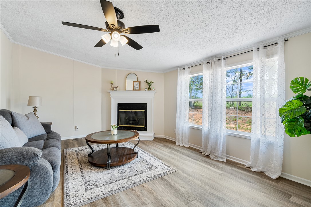 105 Shirley Dairy Road, Honea Path, South Carolina image 14