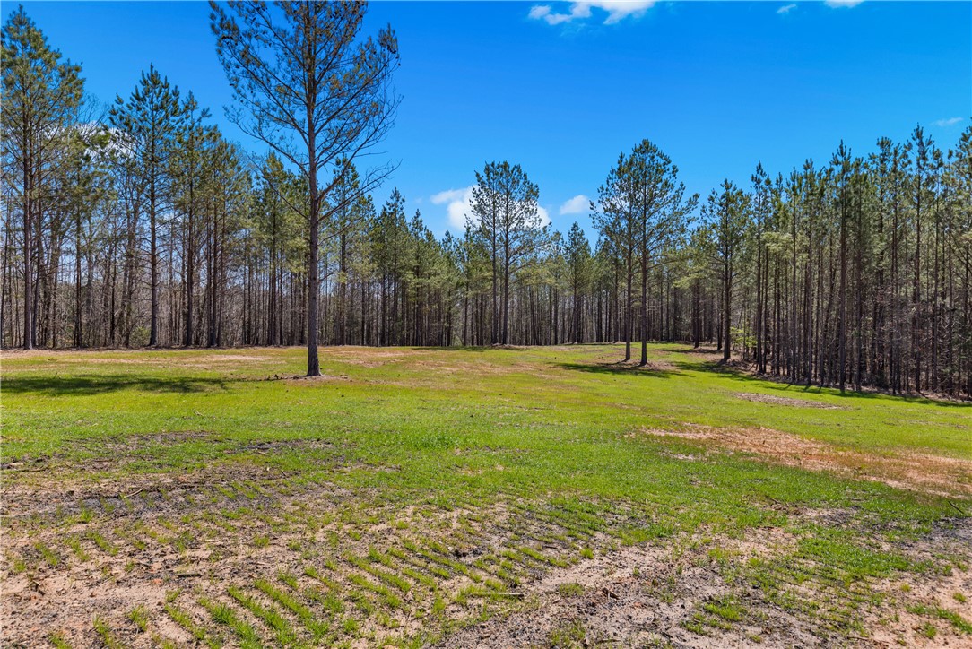 242 Mattie Campbell Road #TRACT B, Honea Path, South Carolina image 14