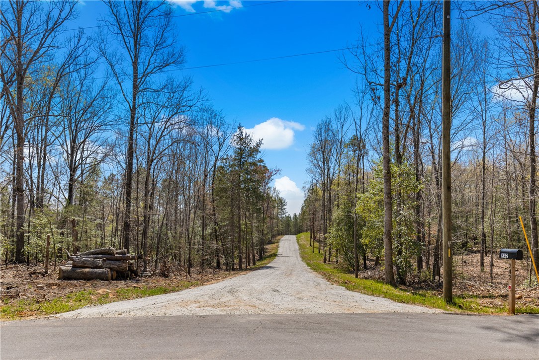 242 Mattie Campbell Road #TRACT B, Honea Path, South Carolina image 20