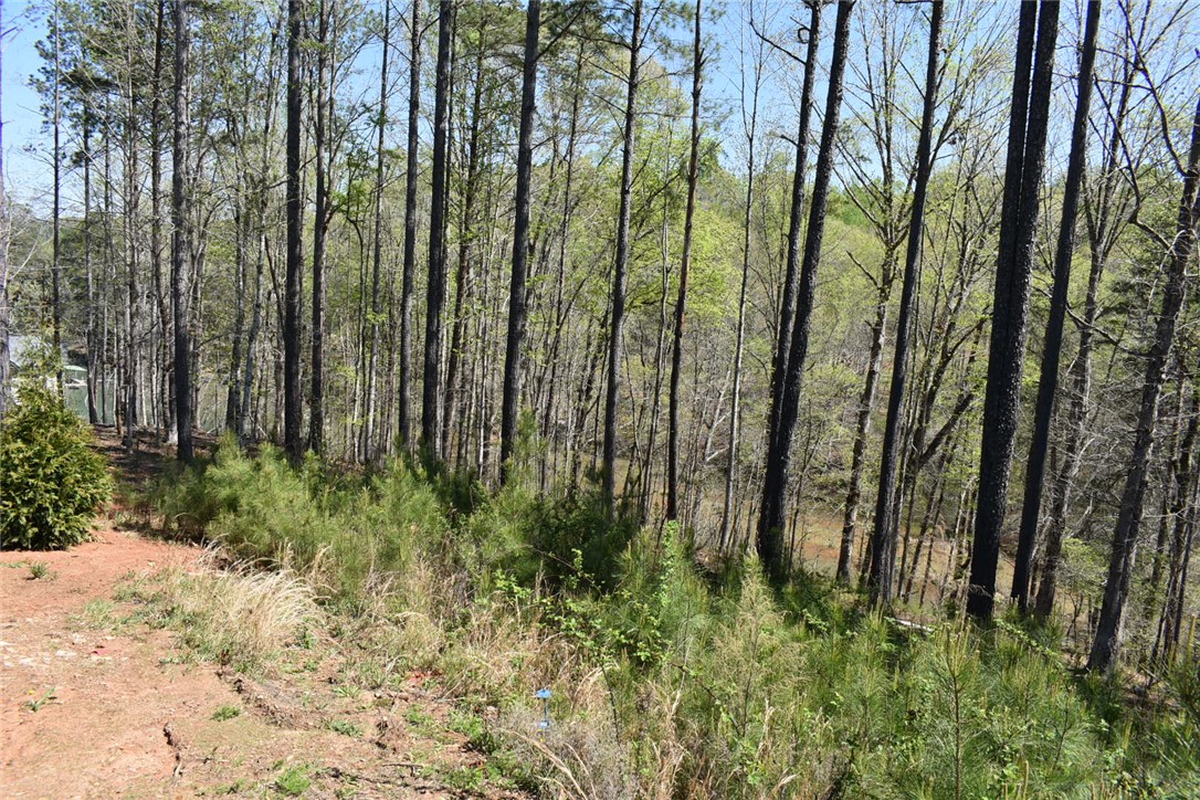 154 Bailey Street, Six Mile, South Carolina image 1