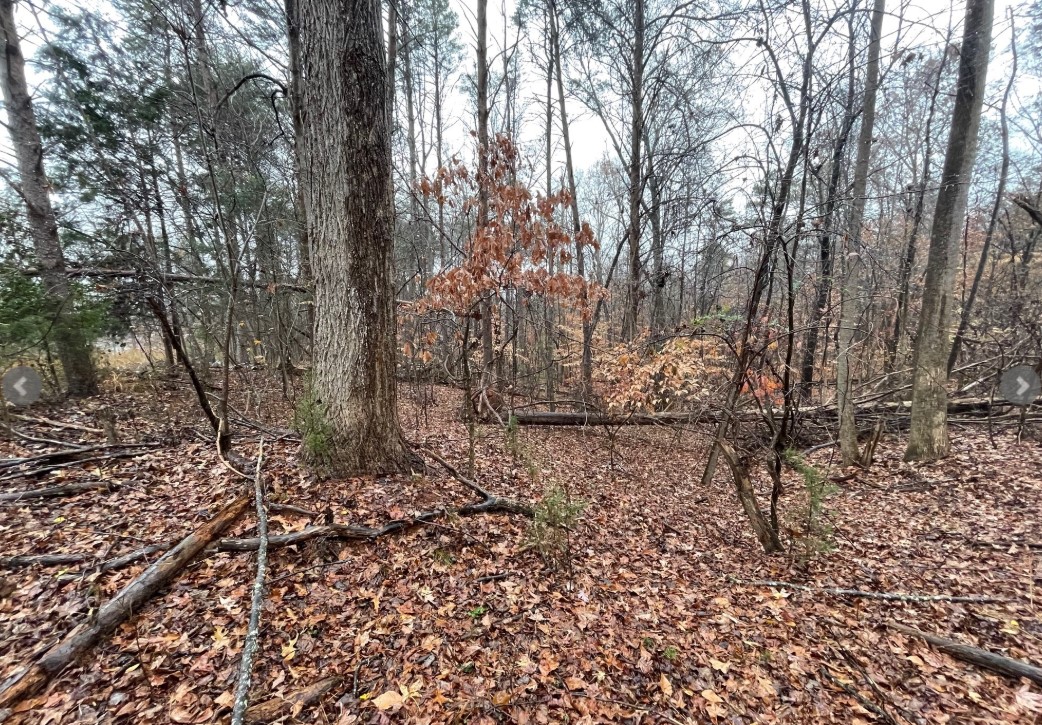 Lot 851 Nicklaus Road, Westminster, South Carolina image 1