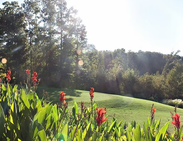 Lot 851 Nicklaus Road, Westminster, South Carolina image 12