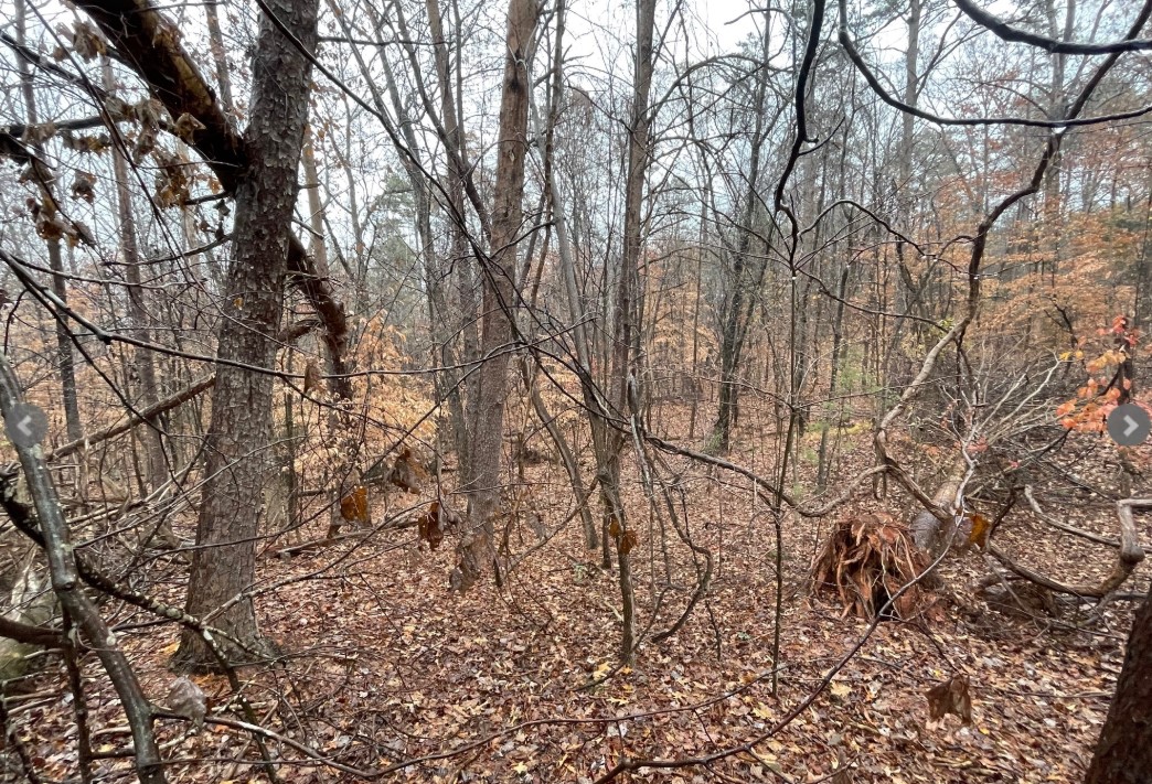 Lot 851 Nicklaus Road, Westminster, South Carolina image 3