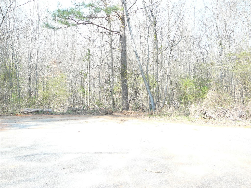 Lt 83 Carousel Court, Starr, South Carolina image 3