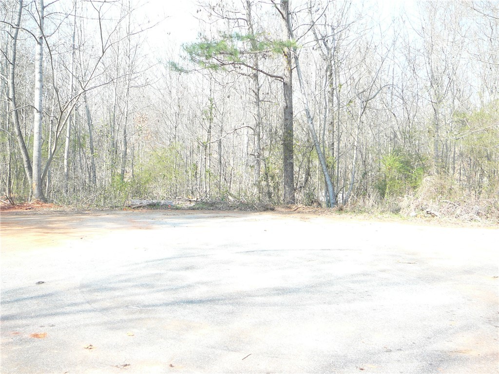 Lt 83 Carousel Court, Starr, South Carolina image 2