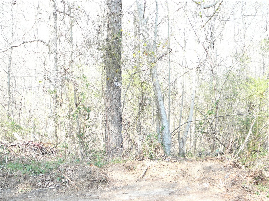 Lt 83 Carousel Court, Starr, South Carolina image 4