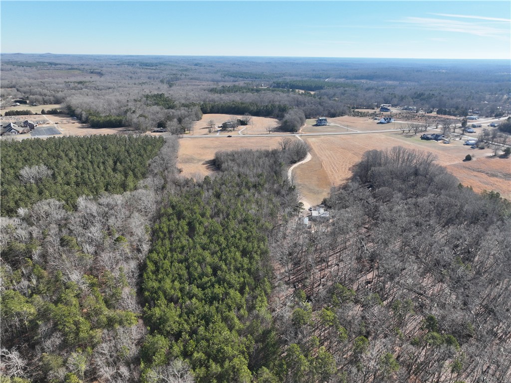 17200 Highway 101, Gray Court, South Carolina image 11