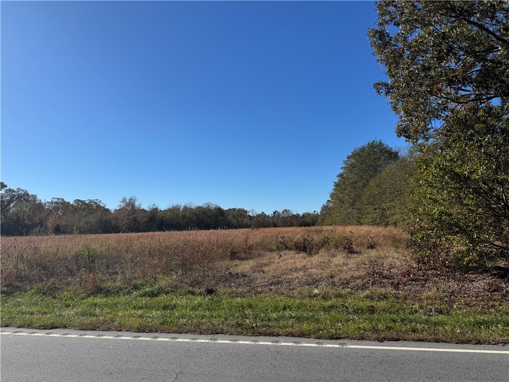 17200 Highway 101, Gray Court, South Carolina image 6
