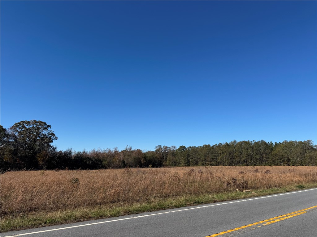 17200 Highway 101, Gray Court, South Carolina image 3