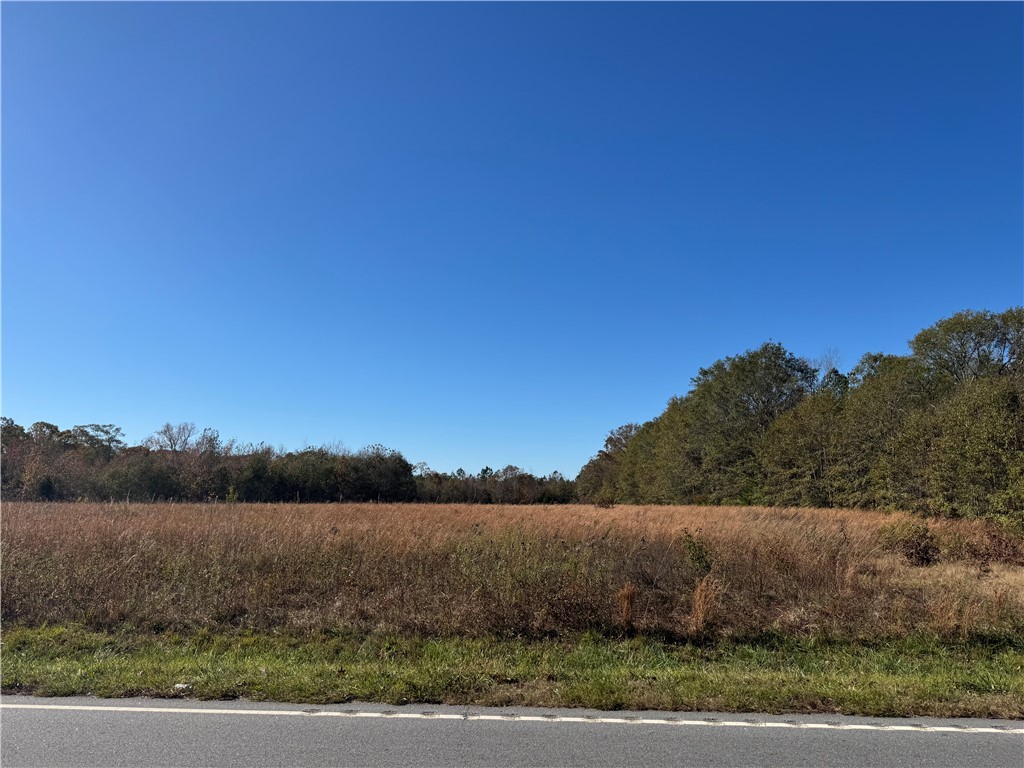 17200 Highway 101, Gray Court, South Carolina image 5