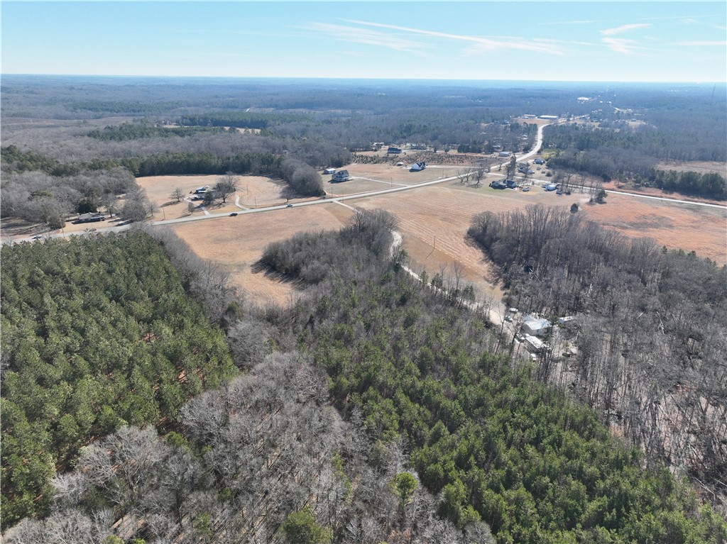 17200 Highway 101, Gray Court, South Carolina image 10