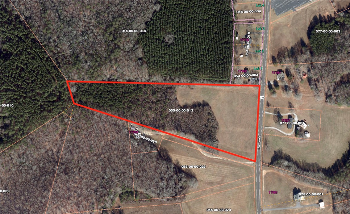 17200 Highway 101, Gray Court, South Carolina image 1