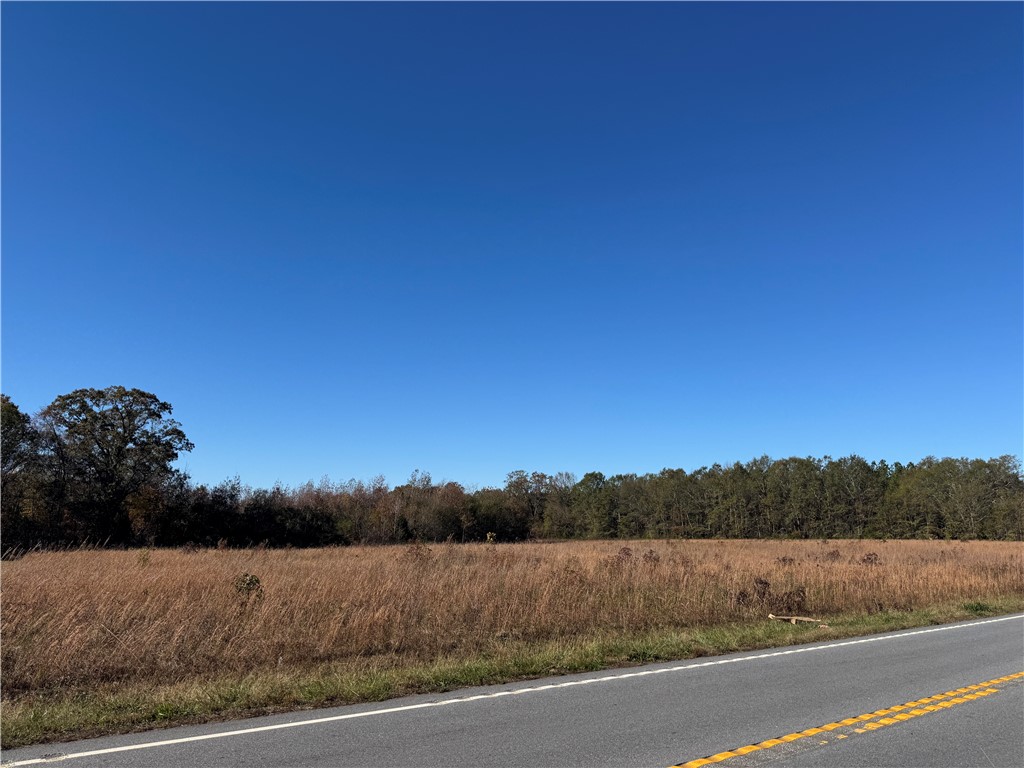 17200 Highway 101, Gray Court, South Carolina image 2