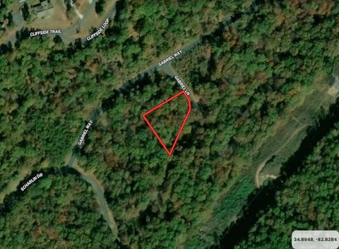 Vacant Land For Sale - 8 Gabriel Lane<br/> Pickens County, Pickens, SC 29671