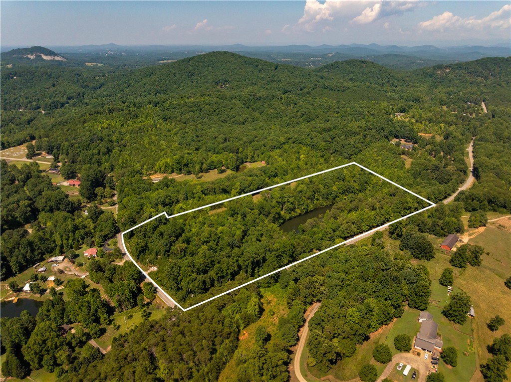 890 Earls Bridge Road, Easley, South Carolina image 1