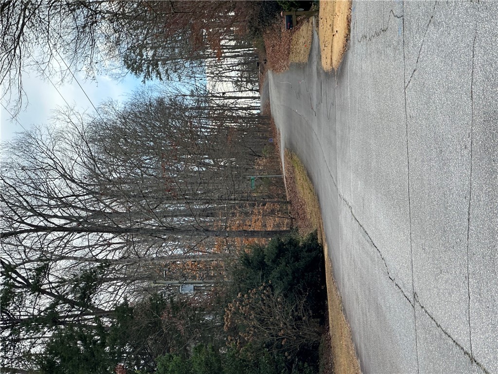Springview Drive, Westminster, South Carolina image 4