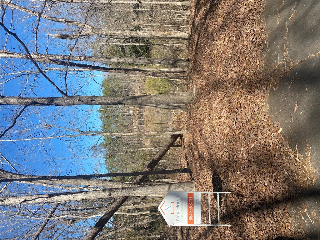 Springview Drive, Westminster, South Carolina image 1