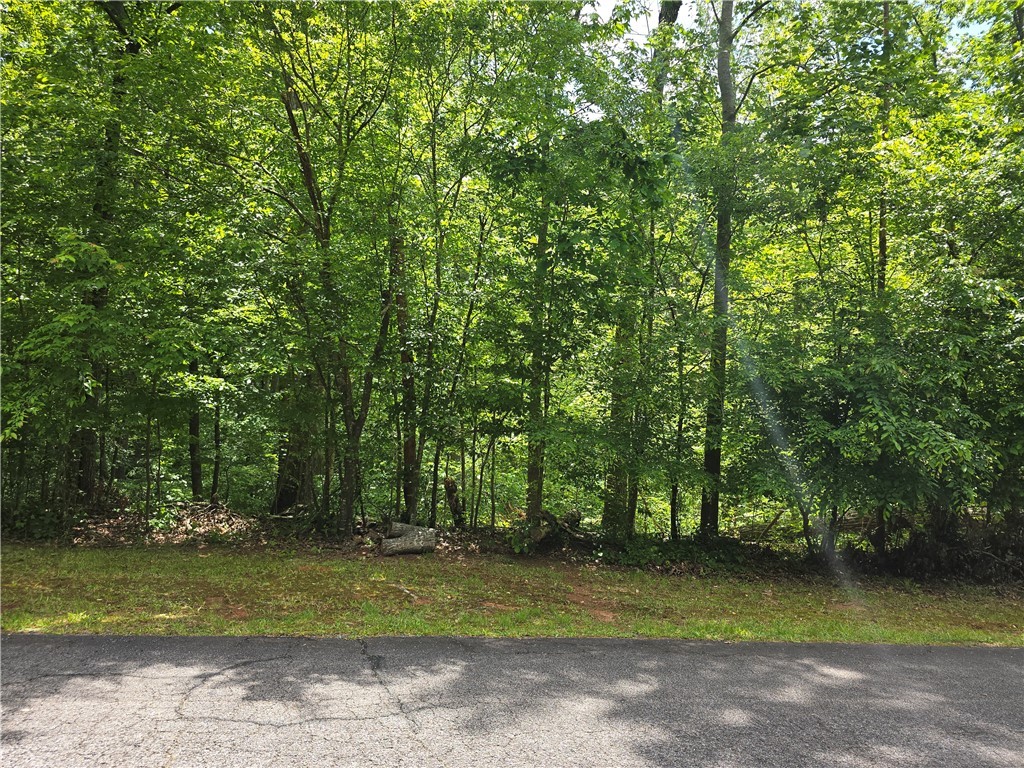 00 Camellia Street, Westminster, South Carolina image 1