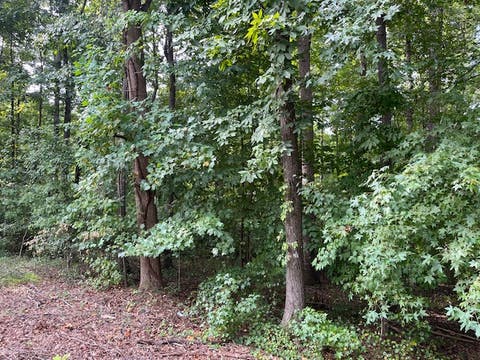 Photo for 00 N Sundew Drive