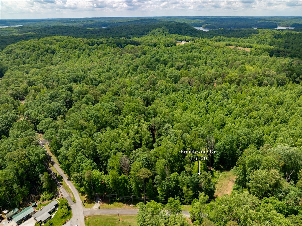 Lot 49 Brandywine Drive, Westminster, South Carolina image 40