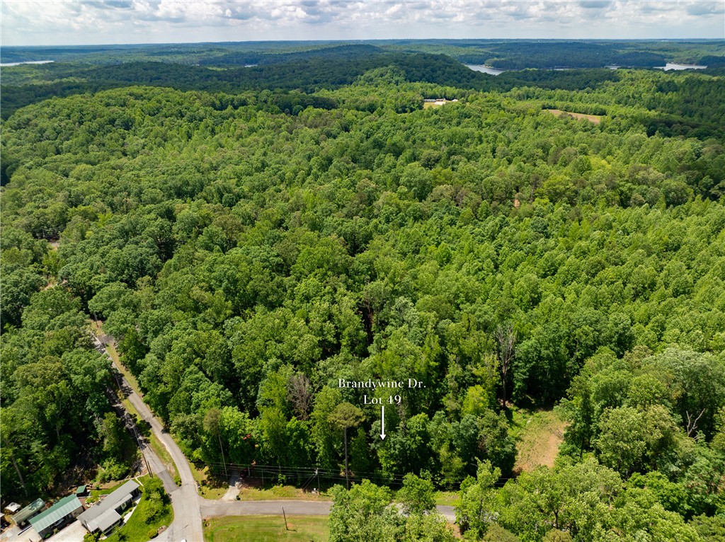 Lot 49 Brandywine Drive, Westminster, South Carolina image 41