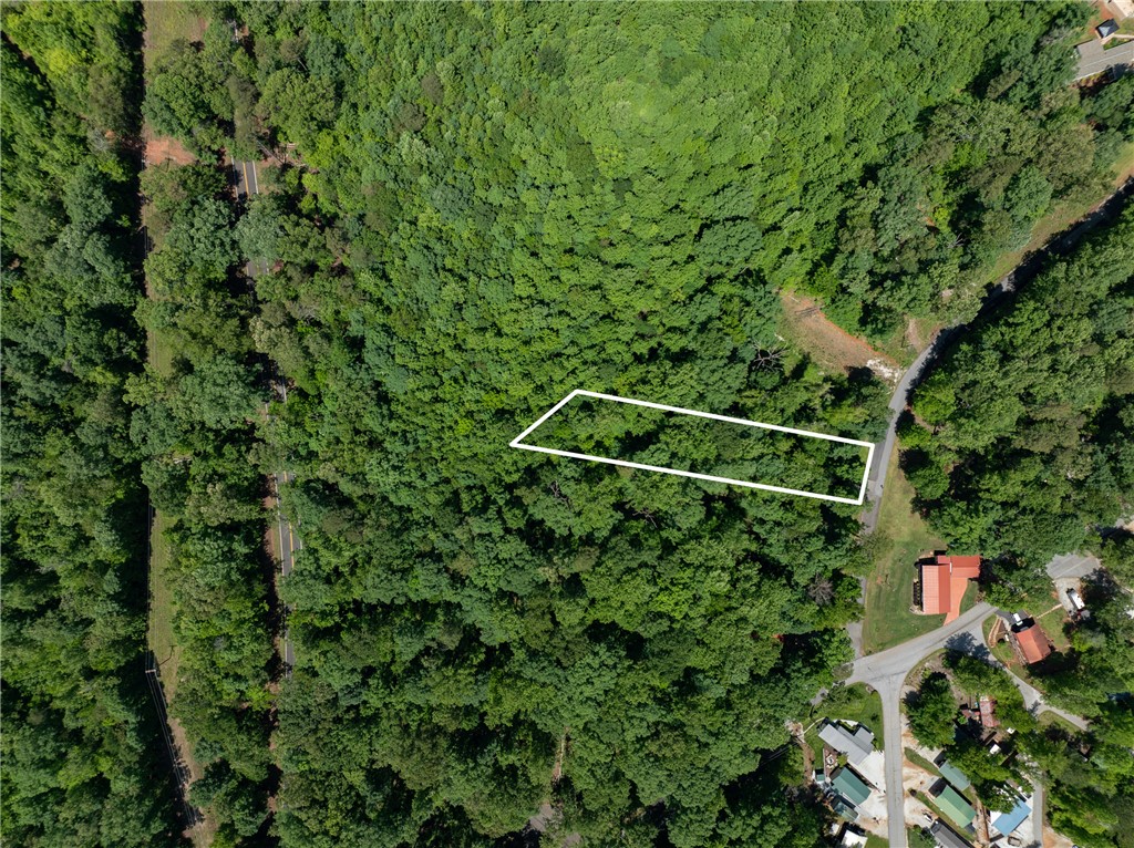 Lot 49 Brandywine Drive, Westminster, South Carolina image 10