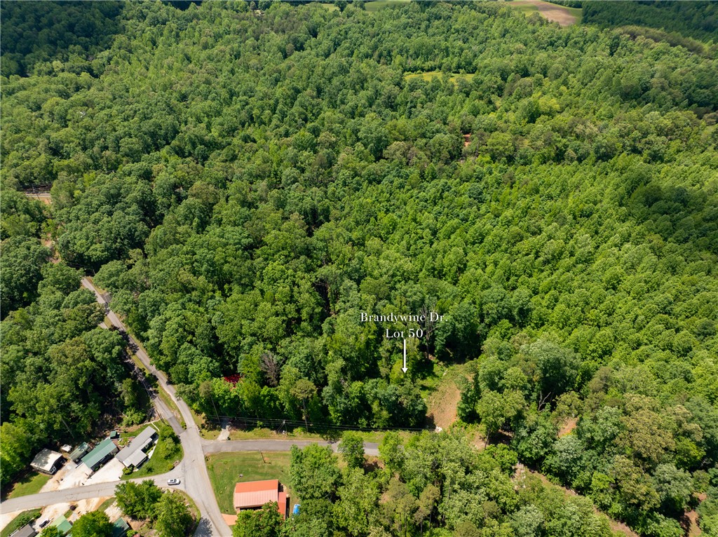 Lot 49 Brandywine Drive, Westminster, South Carolina image 37