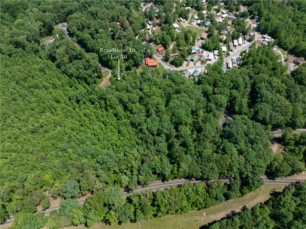 Lot 49 Brandywine Drive, Westminster, South Carolina image 14