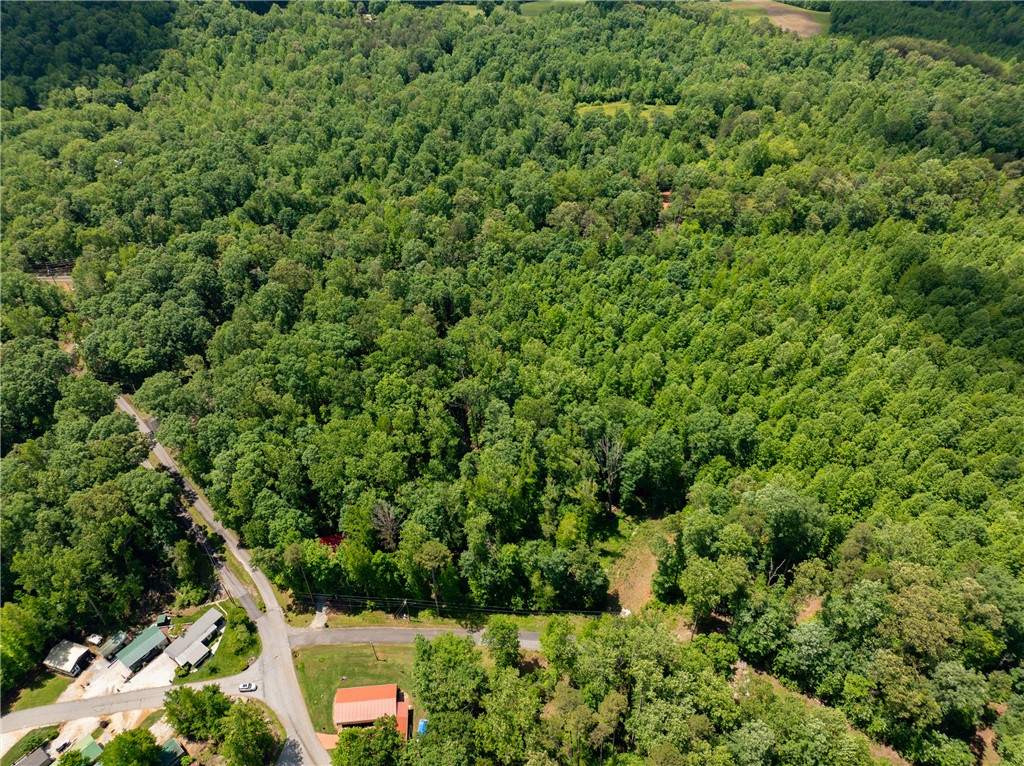 Lot 49 Brandywine Drive, Westminster, South Carolina image 39