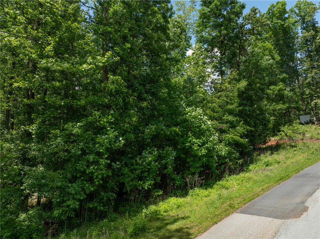 Lot 49 Brandywine Drive, Westminster, South Carolina image 3