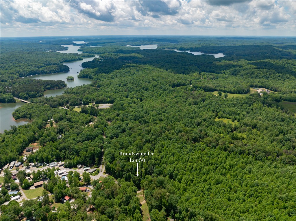 Lot 49 Brandywine Drive, Westminster, South Carolina image 28