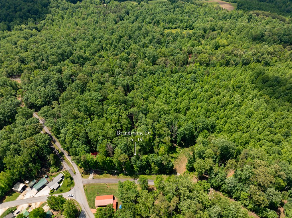 Lot 49 Brandywine Drive, Westminster, South Carolina image 38