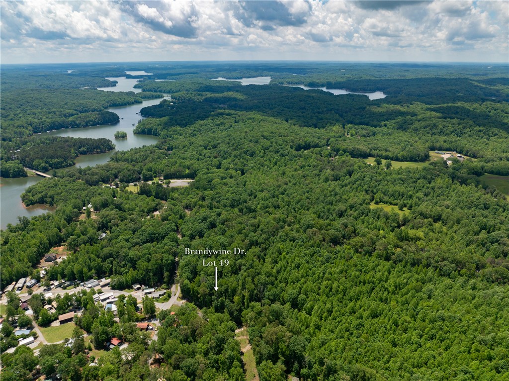 Lot 49 Brandywine Drive, Westminster, South Carolina image 29