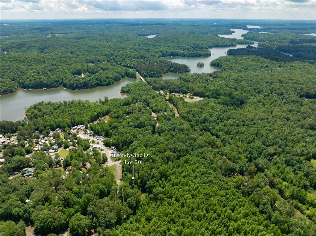 Lot 49 Brandywine Drive, Westminster, South Carolina image 25