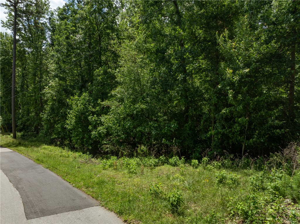 Lot 49 Brandywine Drive, Westminster, South Carolina image 4
