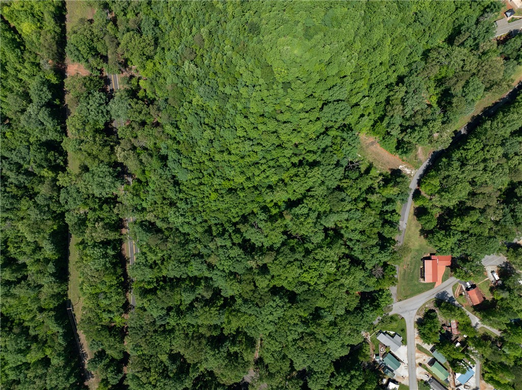 Lot 49 Brandywine Drive, Westminster, South Carolina image 12