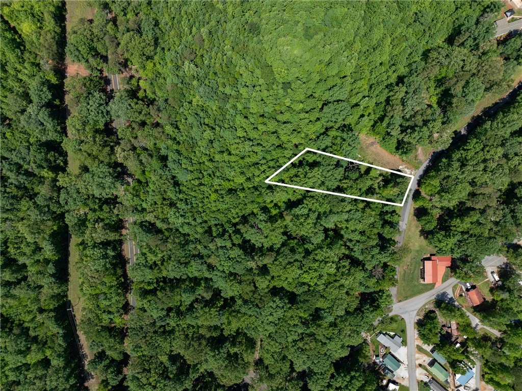 Lot 49 Brandywine Drive, Westminster, South Carolina image 9