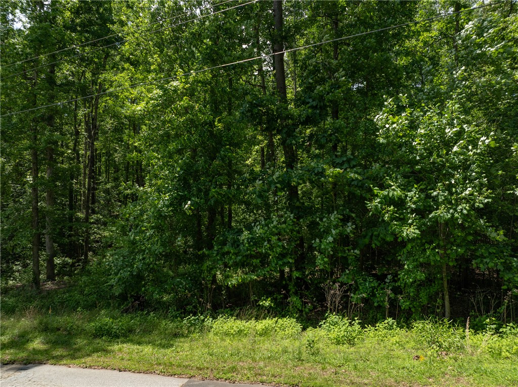 Lot 49 Brandywine Drive, Westminster, South Carolina image 2