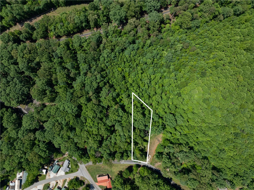Lot 49 Brandywine Drive, Westminster, South Carolina image 5